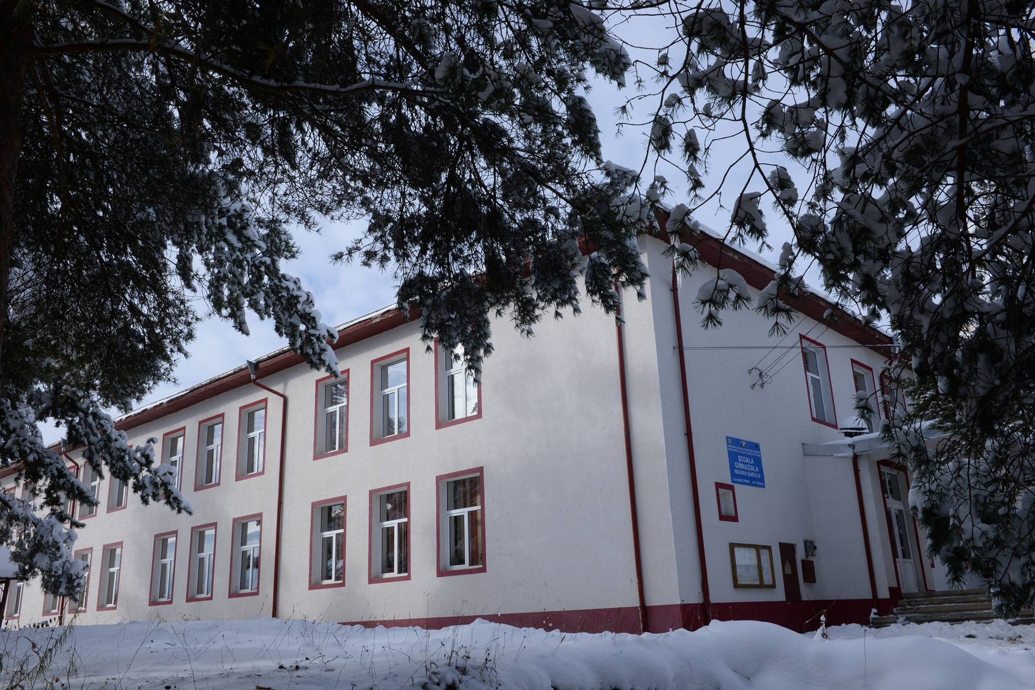 Școala Gimnaziala din Neagra Șarului, Suceava
